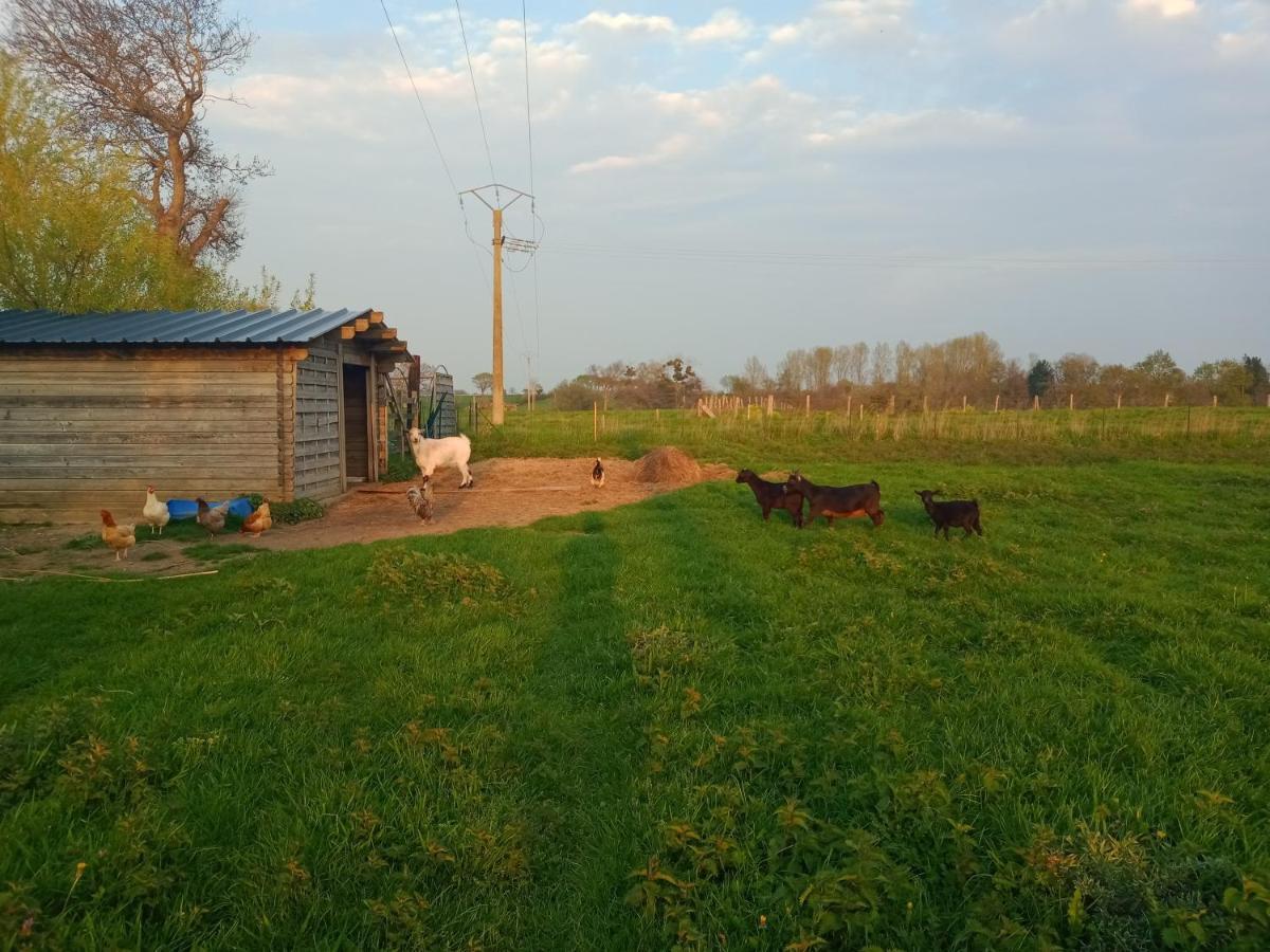 La Ferme D' Emerentine Bacilly Kültér fotó