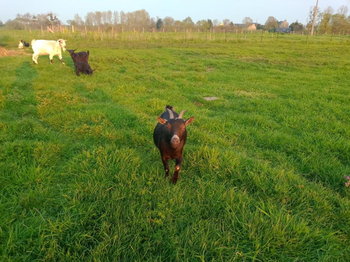 La Ferme D' Emerentine Bacilly Kültér fotó